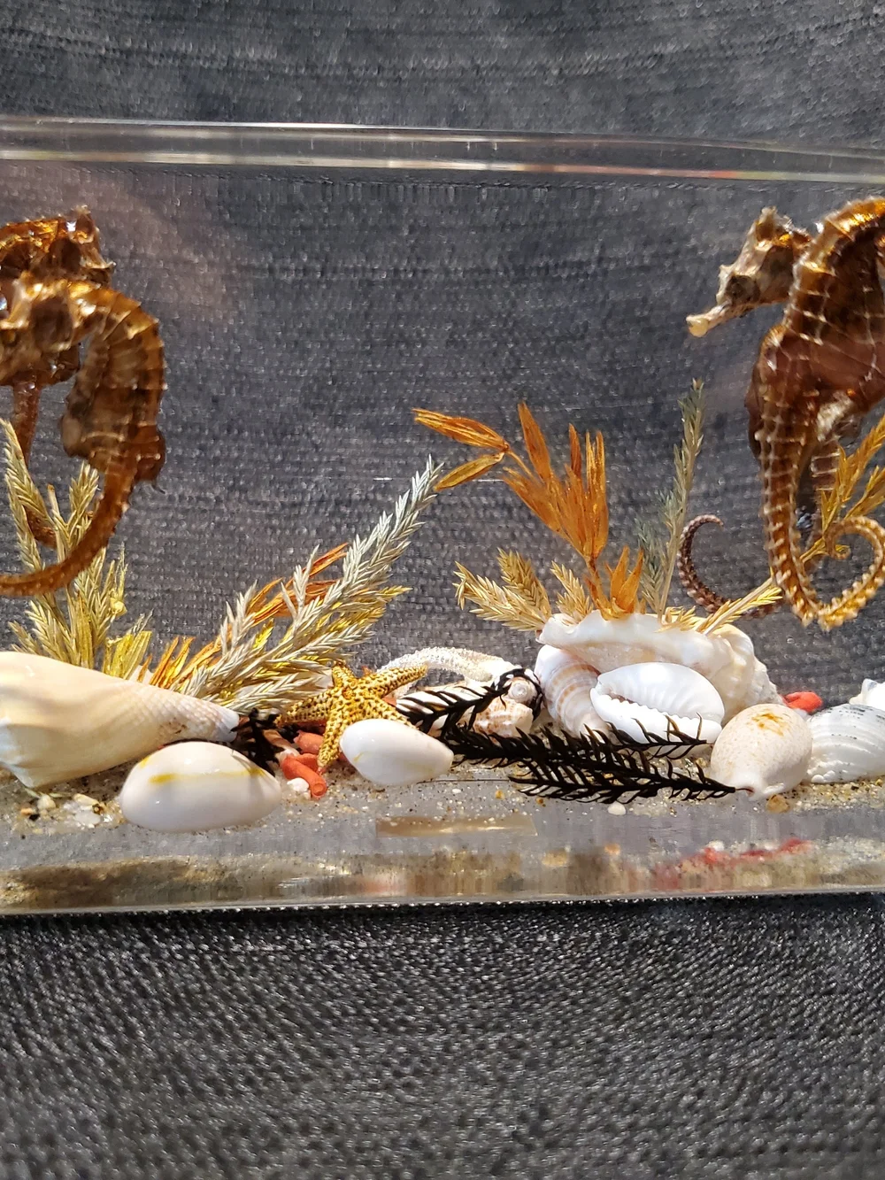 Vintage Mid-Century Canadian Lucite Seahorse Acrylic Block Paperweight